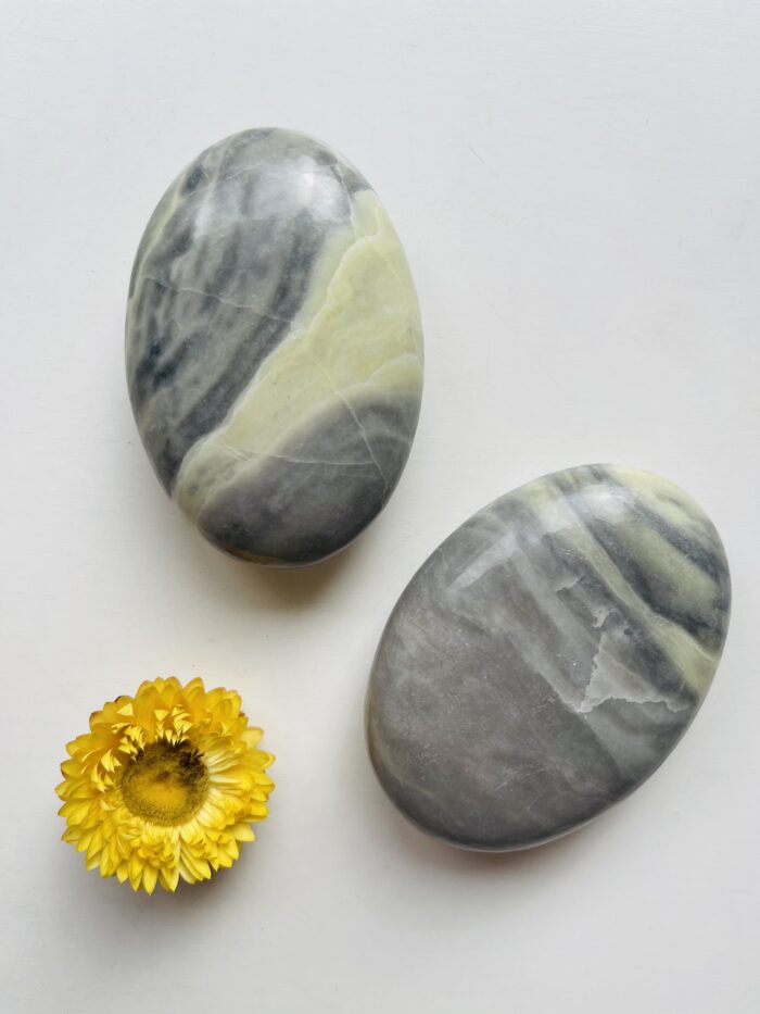 Palm stone Bumble Bee Jasper