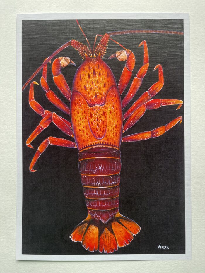 Koura / Crayfish, Verity Claire Print